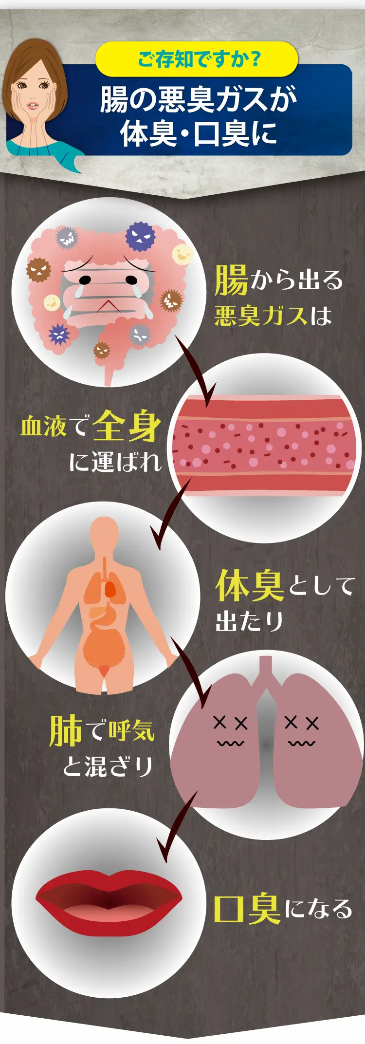 内側のスッキリ！が外側にも表れます